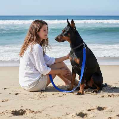 Longe chien pour entrainement en nylon bleue
