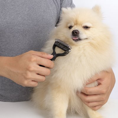 Brosse pour Chien poil long