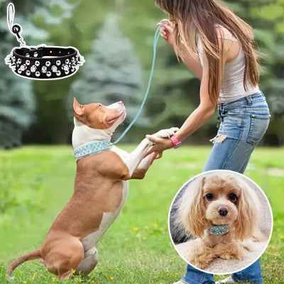 Collier pour chien | Design Rock Duo