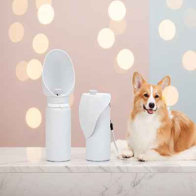 Gourde chien | Pliable Anti-Fuite