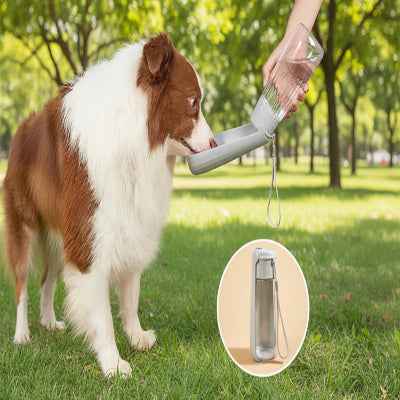 Gourde chien | Portable hydratation