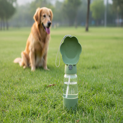 gourde pour chien verte