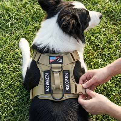 Harnais anti traction pour chien moyen
