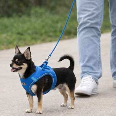 Harnais chiot | Confort Anti-Traction