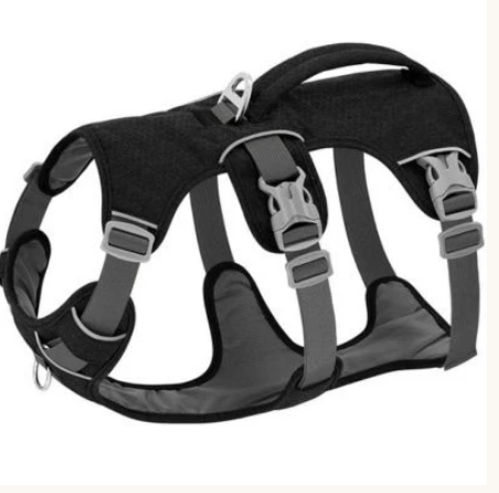 Harnais gilet chien simplewalk en noir