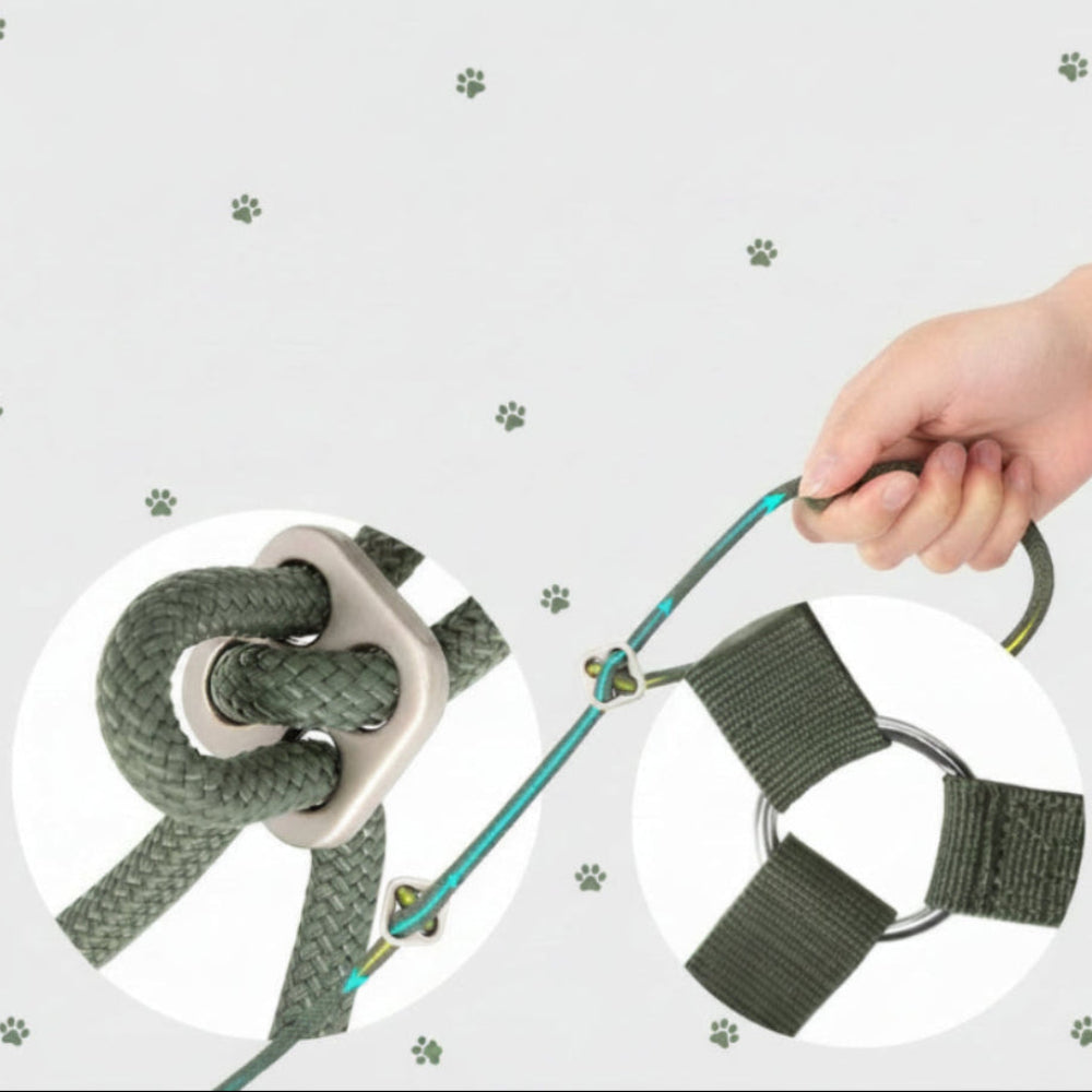 harnais souple chiot sangle flexible