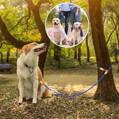 Laisse double pour chien | Urban Dog Pro