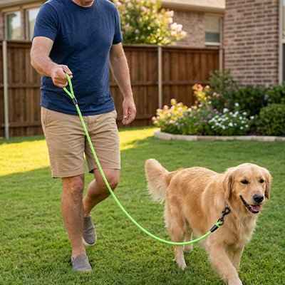 Laisse pour Chien | Ultra-Résistante