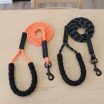 Longe chien | Robuste et Confortable