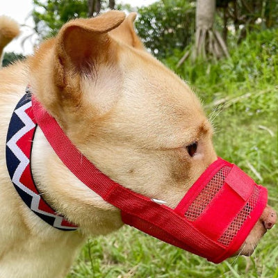 Muselière pour chien en filet en rouge