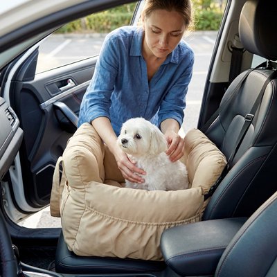 Siège auto pour chien pour petit chien