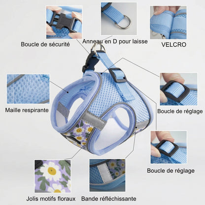 harnais petit chien minipaw détail boucle sécurité anneau de maille respirante réfléchissant ajustable