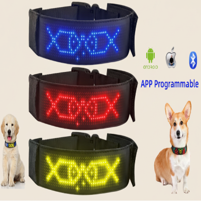 Collier lumineux chien avec application