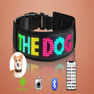 Collier lumineux chien bluetooth