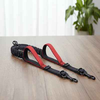 Double Laisse Pour chien en rouge