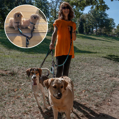 Double Laisse Pour Chien petit gros