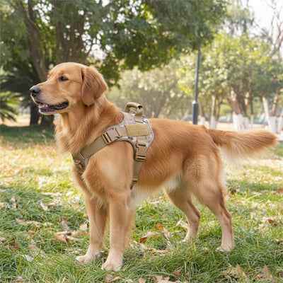  Harnais Anti Traction Doux Chien joyeux