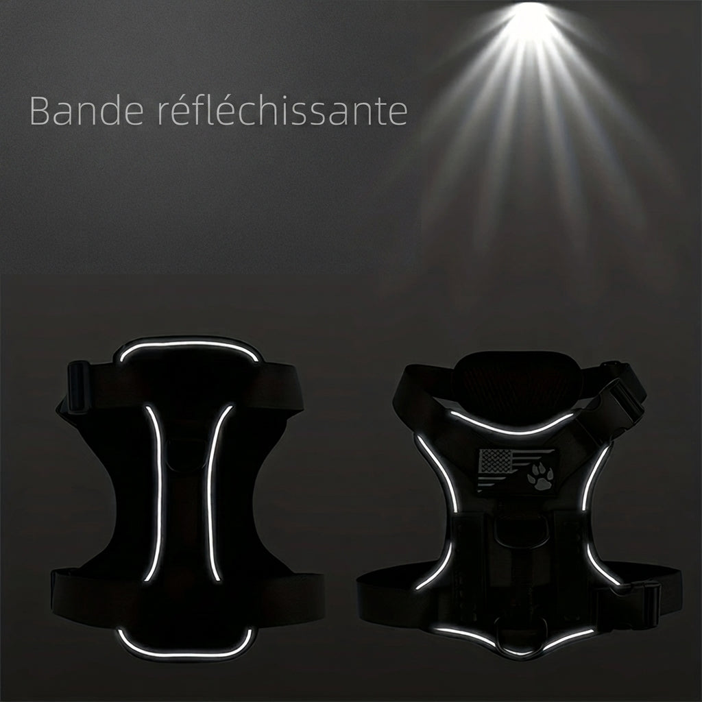 Harnais Anti-Traction pour Chien |EnduraWalk™