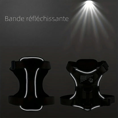 Harnais Anti-Traction pour Chien |EnduraWalk™