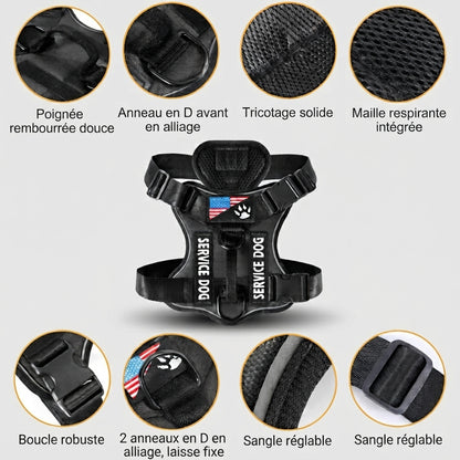 Harnais Anti-Traction pour Chien |EnduraWalk™