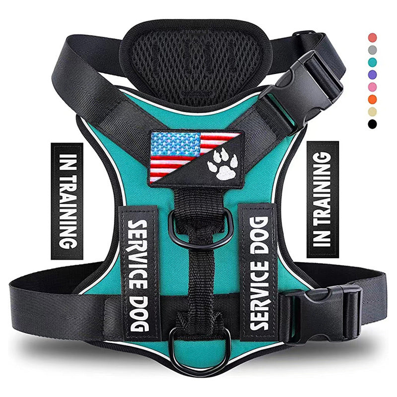 Harnais Anti-Traction pour Chien |EnduraWalk™