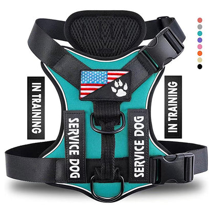 Harnais Anti-Traction pour Chien |EnduraWalk™