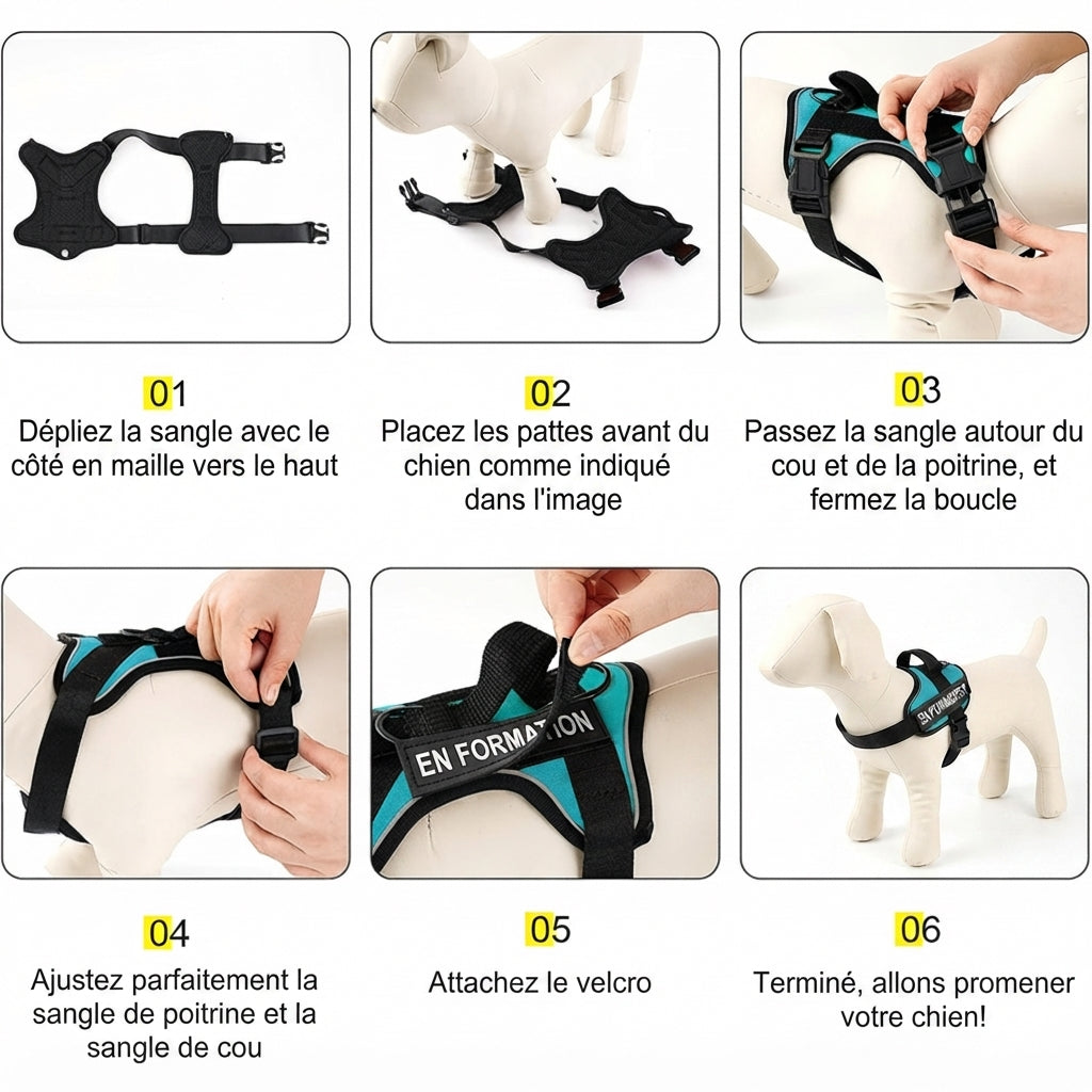 Harnais Anti-Traction pour Chien |EnduraWalk™