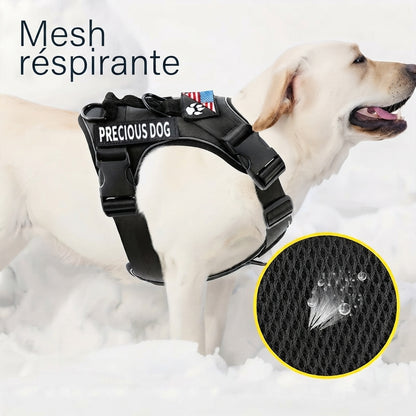 Harnais Anti-Traction pour Chien |EnduraWalk™