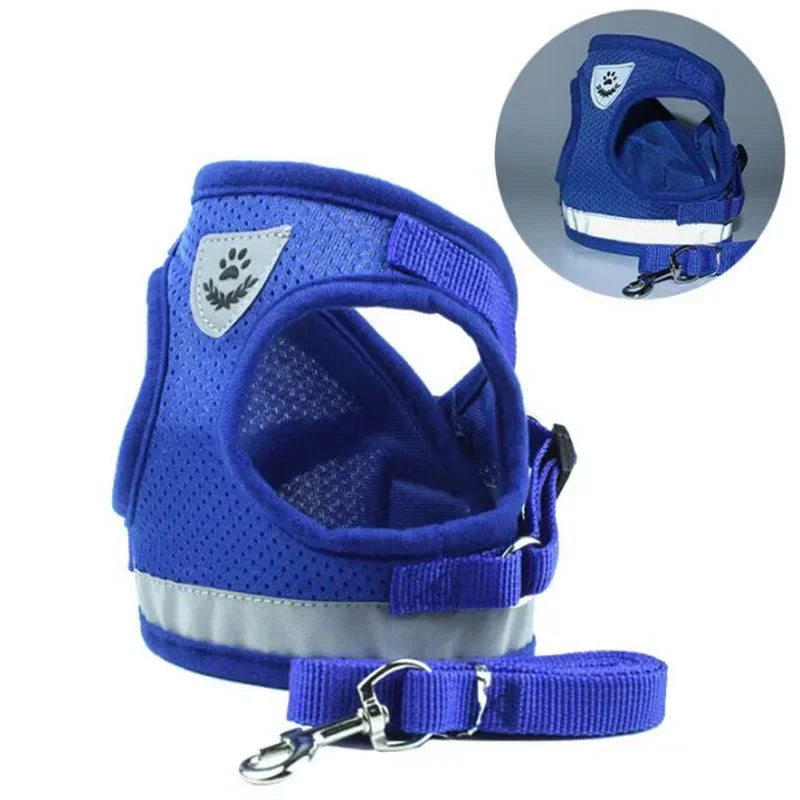 Harnais chien Zenwalk en bleu