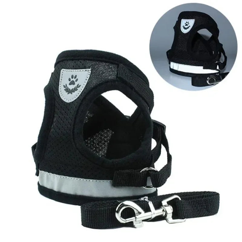 Harnais chien Zenwalk en noir