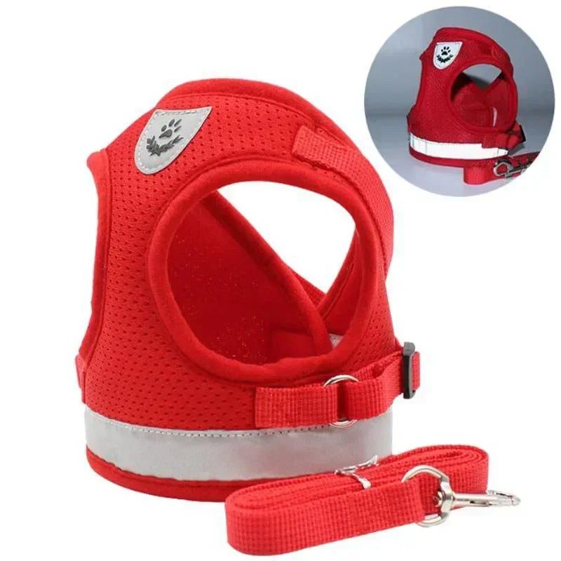 Harnais chien Zenwalk en rouge