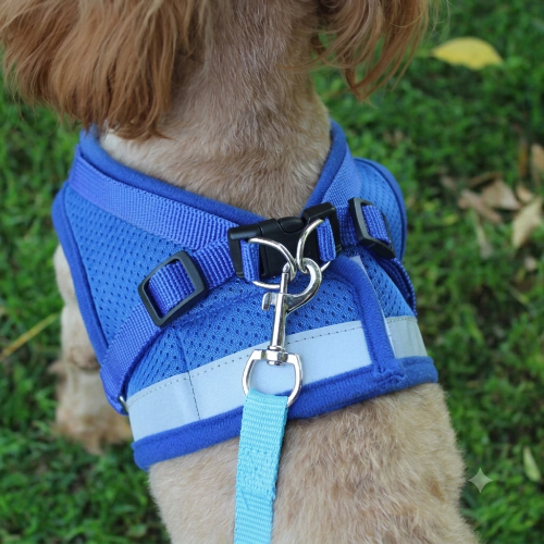 Harnais chien boucle securité renforcée