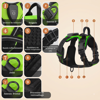 Harnais chien led comfort details caracteristiques