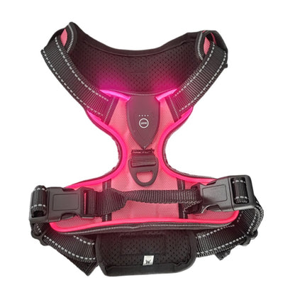 Haranis chien led comfort en rose
