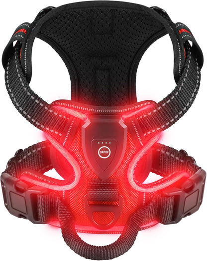 Haranis chien led comfort en rouge