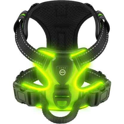 Haranis chien led comfort en vert