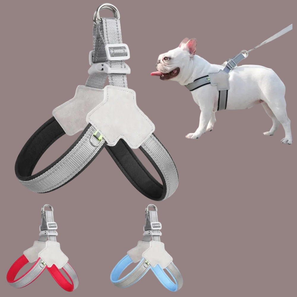 Harnais chien sangle de poitrine trois couleurs