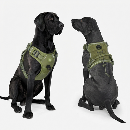 Harnais chien tactique renforcé avec sangles et boucles résistantes