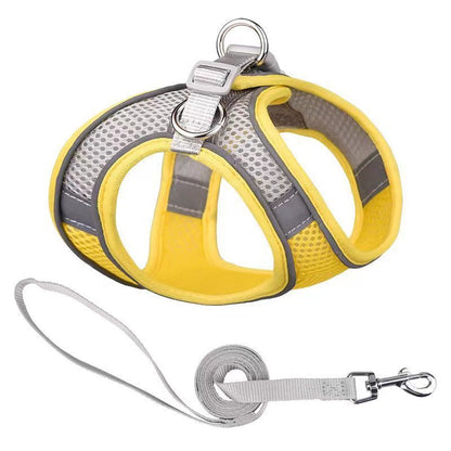 Harnais chiot avec laisse bicolors jaune gris