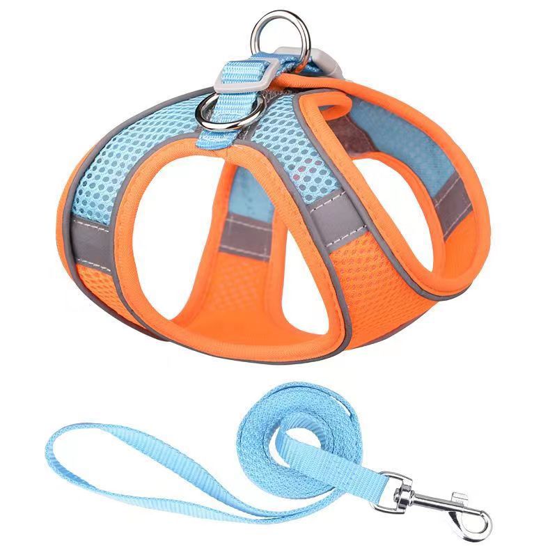 Harnais chiot avec laisse bicolors orange bleu