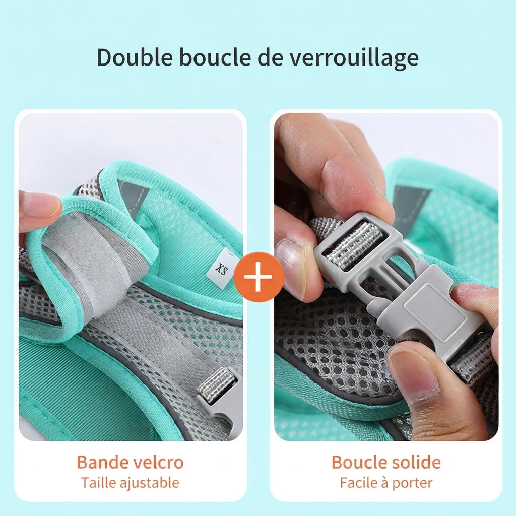 Harnais chiot avec laisse double verouillage facile à porter 