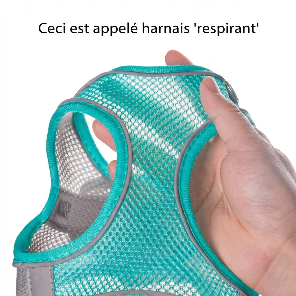 Harnais chiot avec laisse tissu respirant