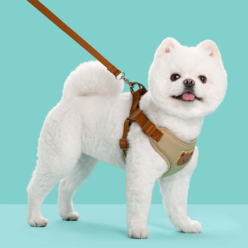 Harnais en Y pour petit chien inclu laisse