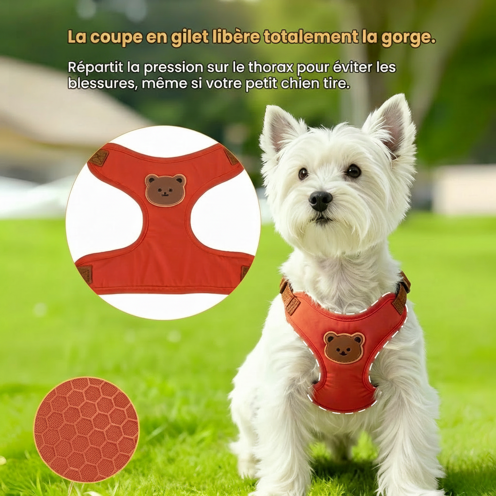 Harnais en Y pour petit chien pas pression gorge et thorax