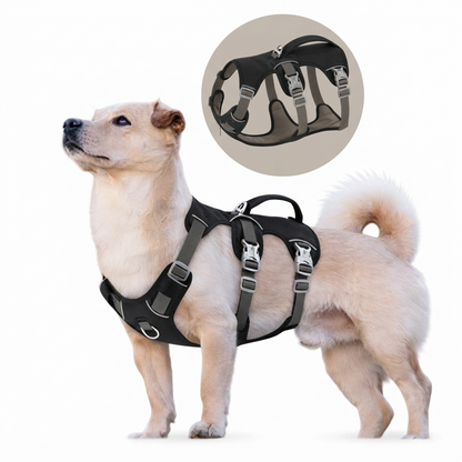 Harnais gilet chien SimpleWalk-sangle-ajustable