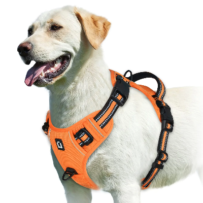 Harnais pour chien orange