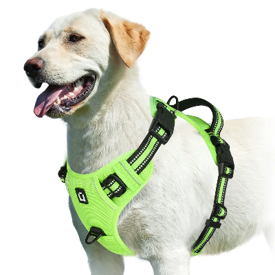 Harnais pour chien vert clair