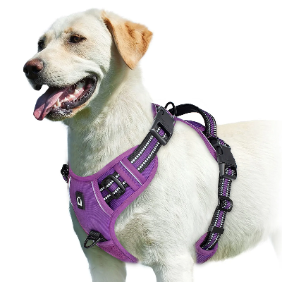 Harnais pour chien violet