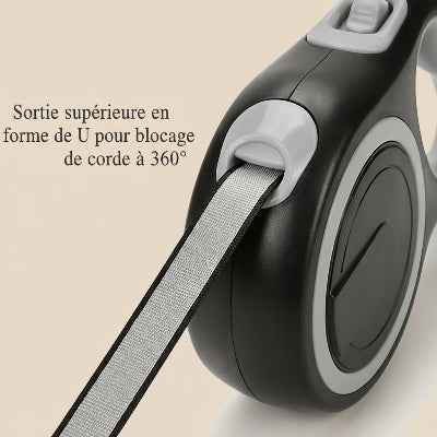 Laisse enrouleur pour chien | Smart Control 5M-8M