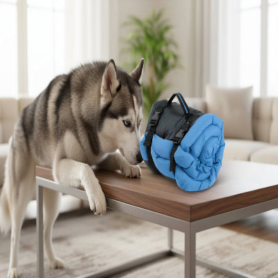 lit de camp pour chien bleu 